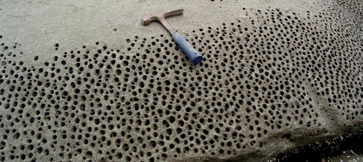 Figure: geology-honeycomb-weathering.jpg